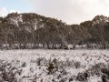 0804-1655 Snowy mountains (1040575)